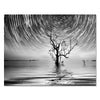 Black & White Nature Canvas Print M0563