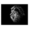Impression sur toile lion noir et blanc M0566