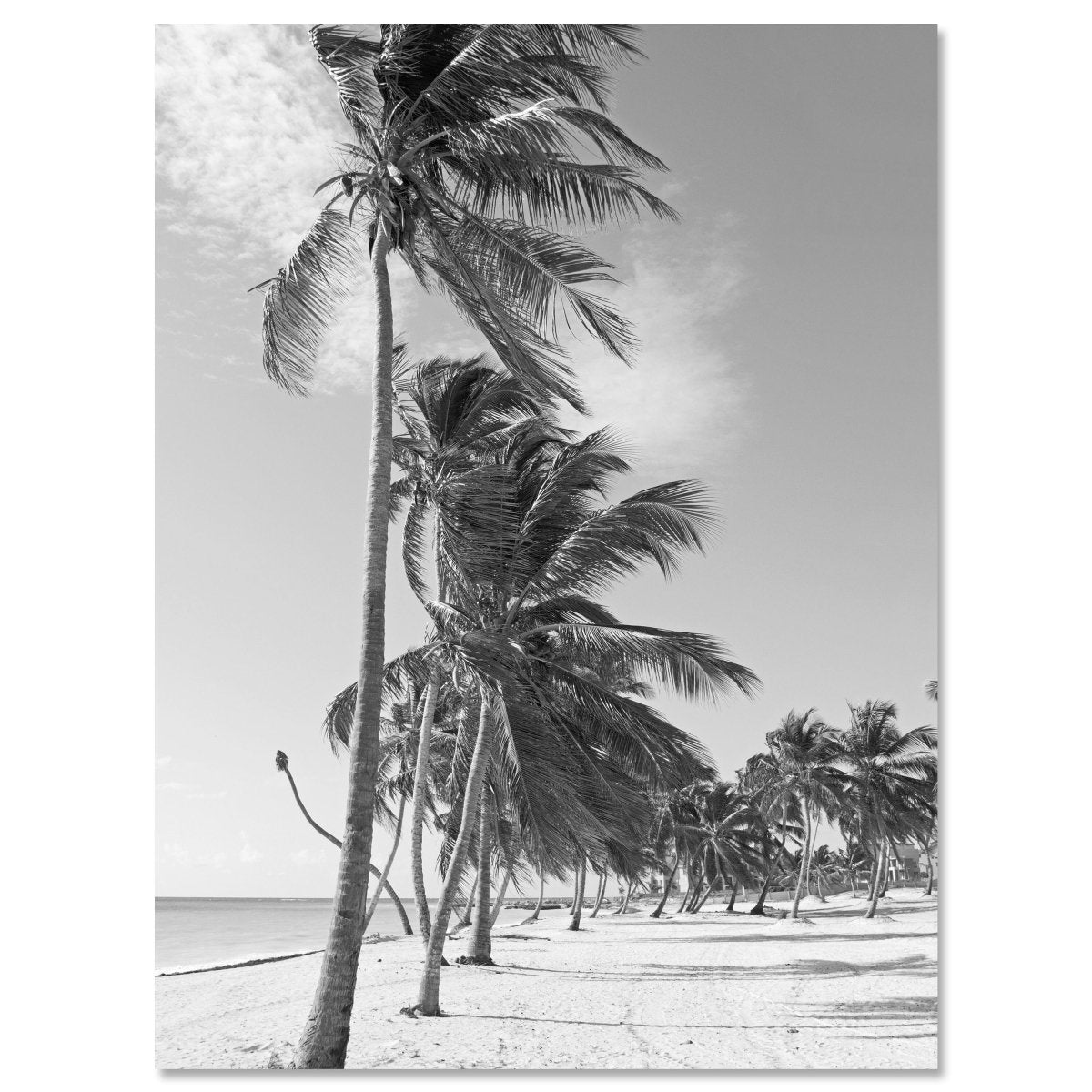Leinwandbild Schwarz-Weiß, Strand M0567 kaufen - Bild 1