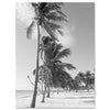 Black & White Beach Canvas Print M0567