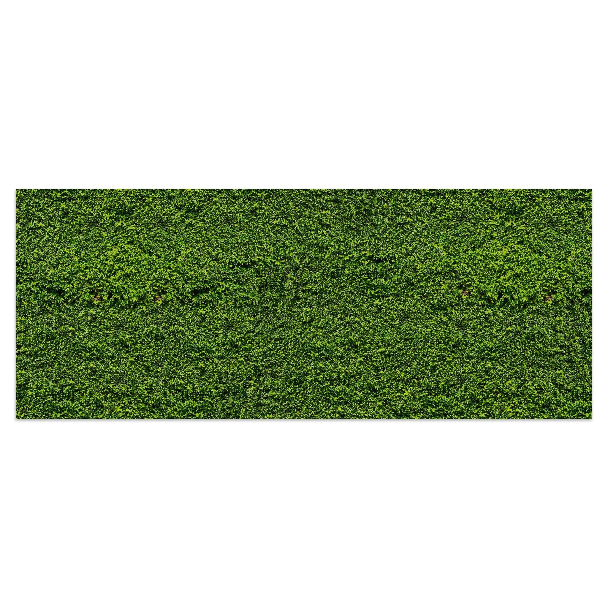 Leinwandbild Grüne Mauer M0572 kaufen - Bild 1