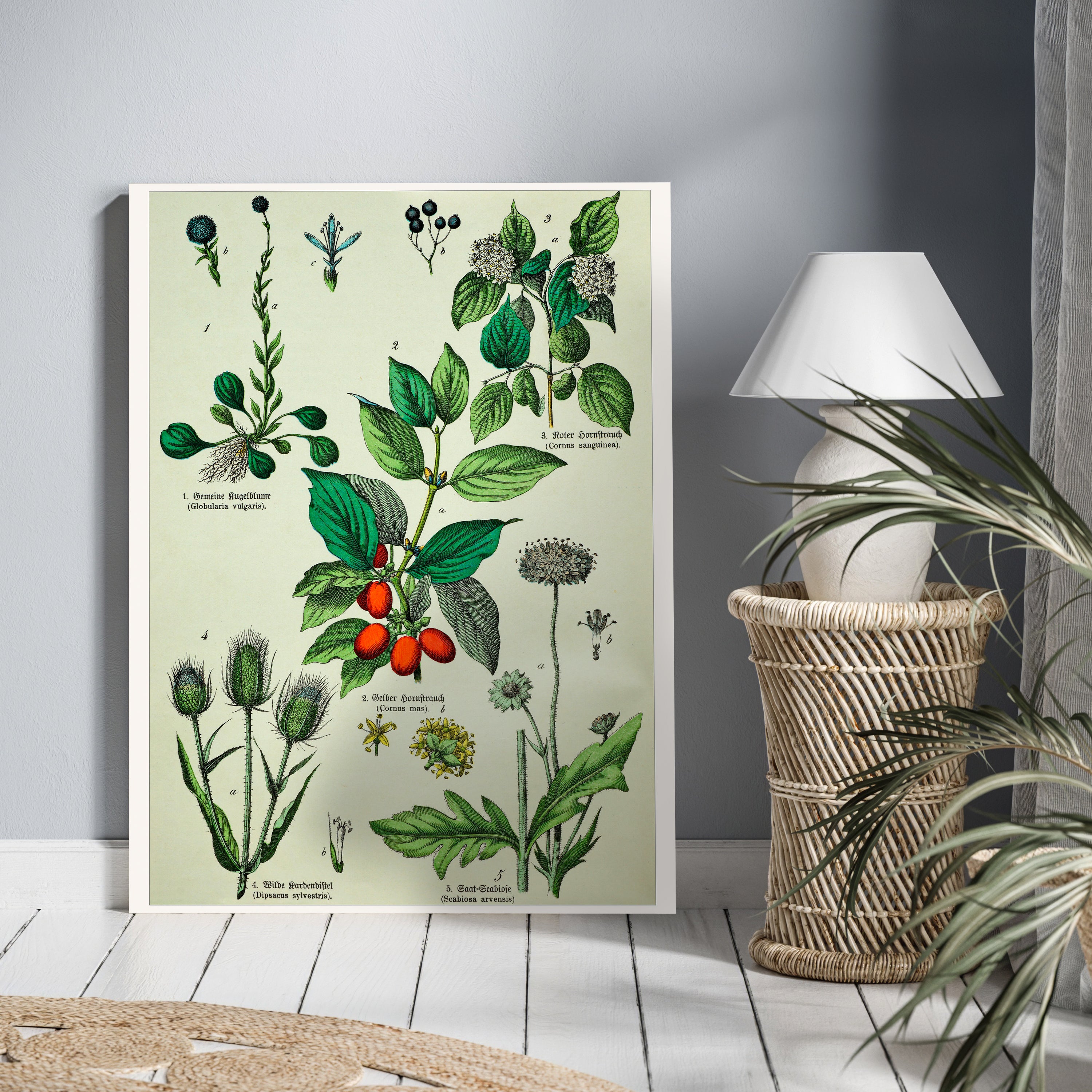 Leinwandbild Vintage, Pflanzen, Illustration, Hochformat M0681 kaufen - Bild 2