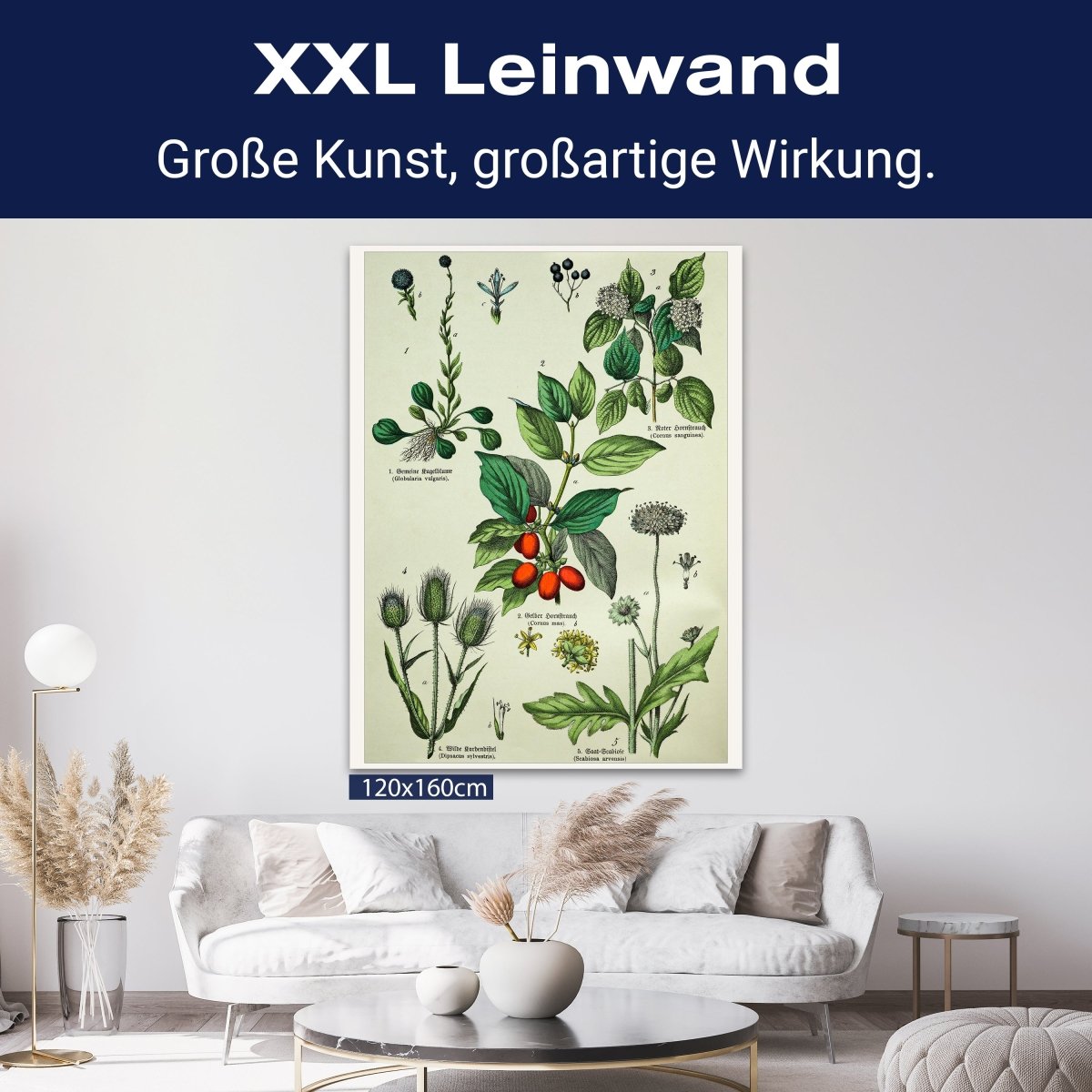 Leinwandbild Vintage, Pflanzen, Illustration, Hochformat M0681 kaufen - Bild 9