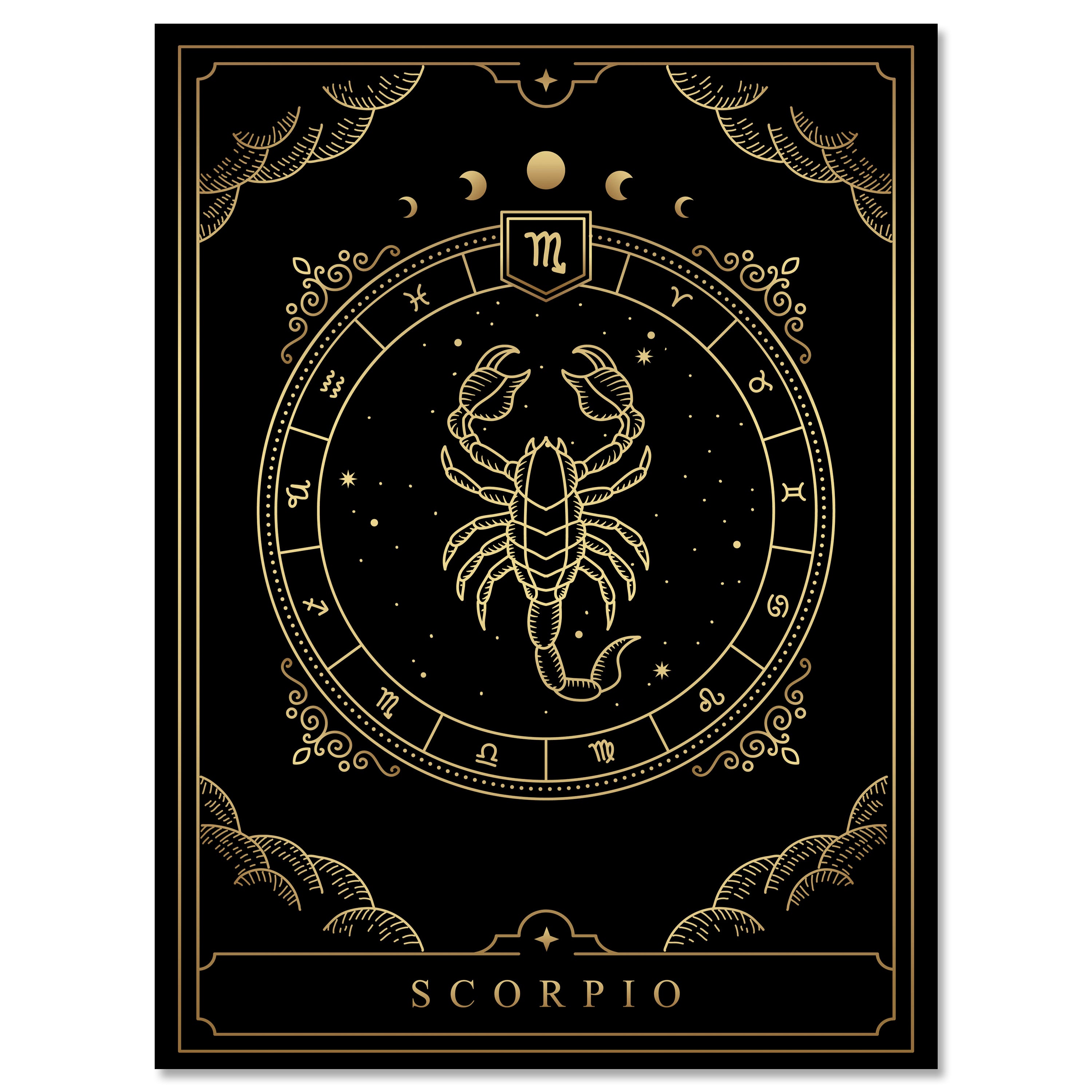 Leinwandbild Sternzeichen, Skorpion, Hochformat M0714 kaufen - Bild 1