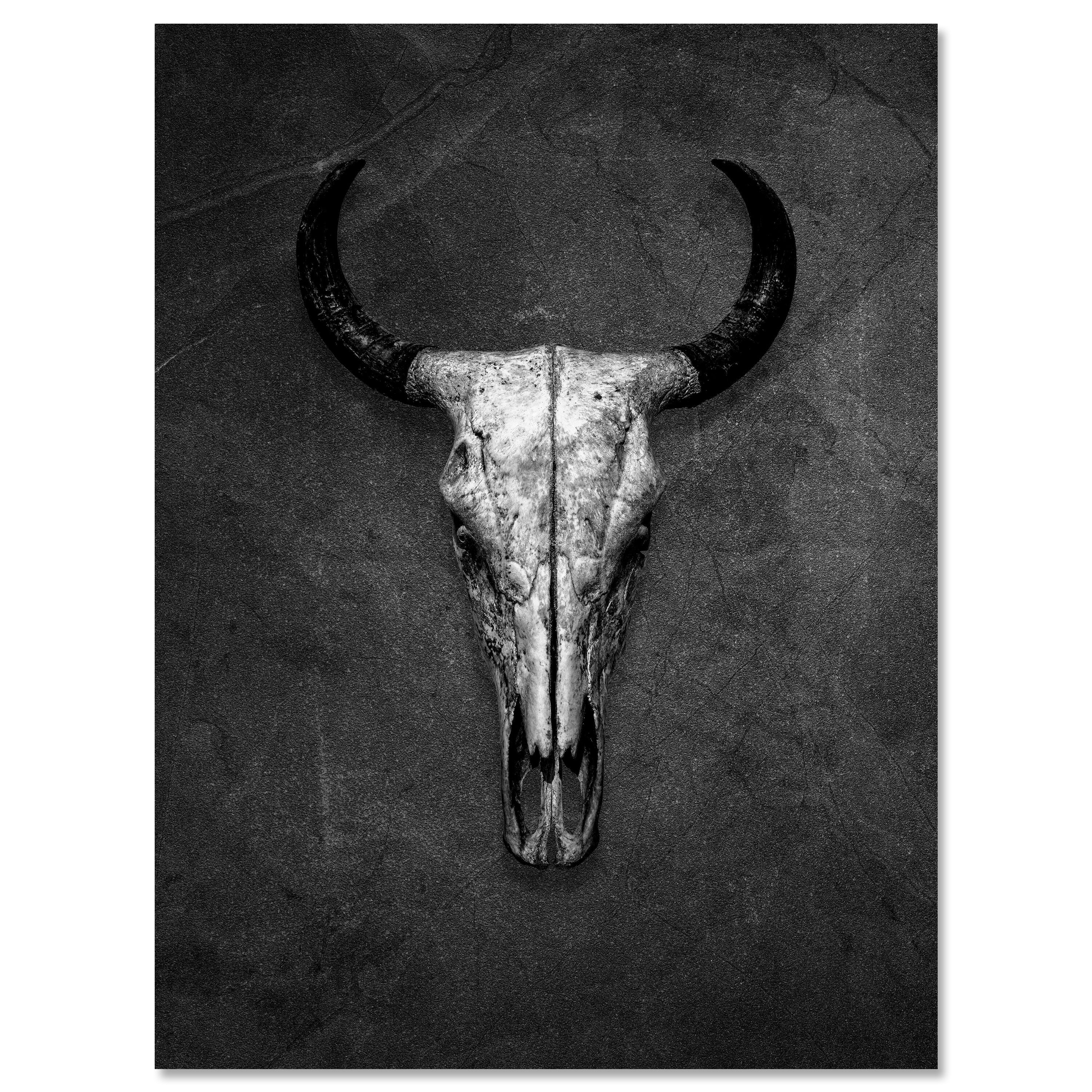 Leinwandbild Totenkopf, Schädel, Bulle, Hochformat M0768 kaufen - Bild 1