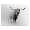 Canvas picture, animals, Scottish Highland cattle, landscape format M0772
