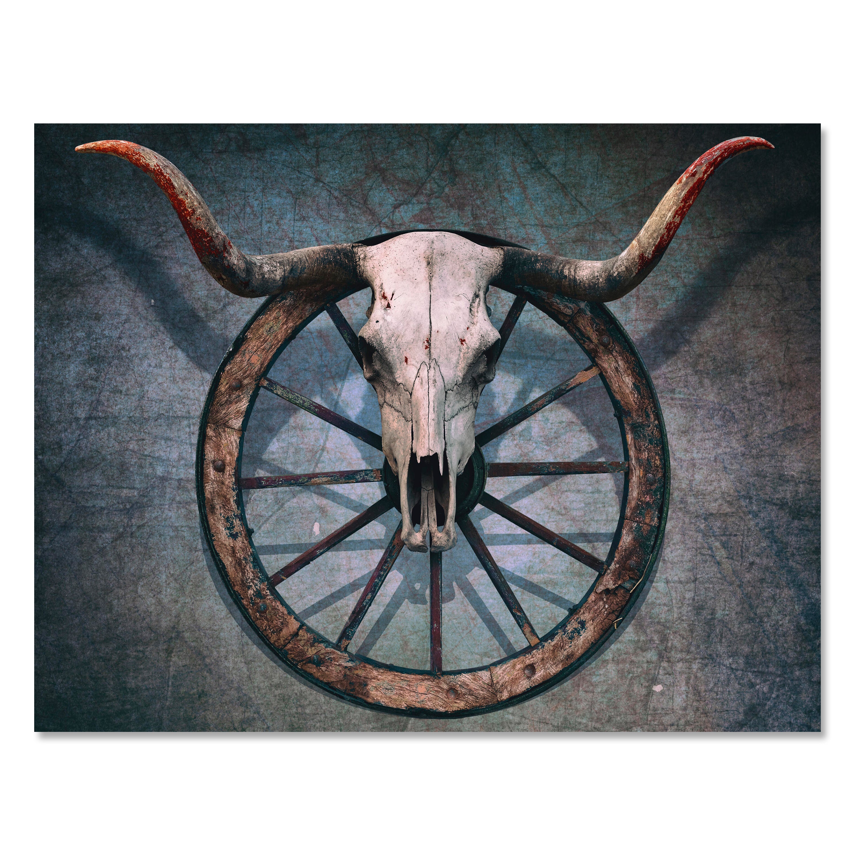 Leinwandbild Totenkopf, Schädel, Bulle, Querformat M0774 kaufen - Bild 1