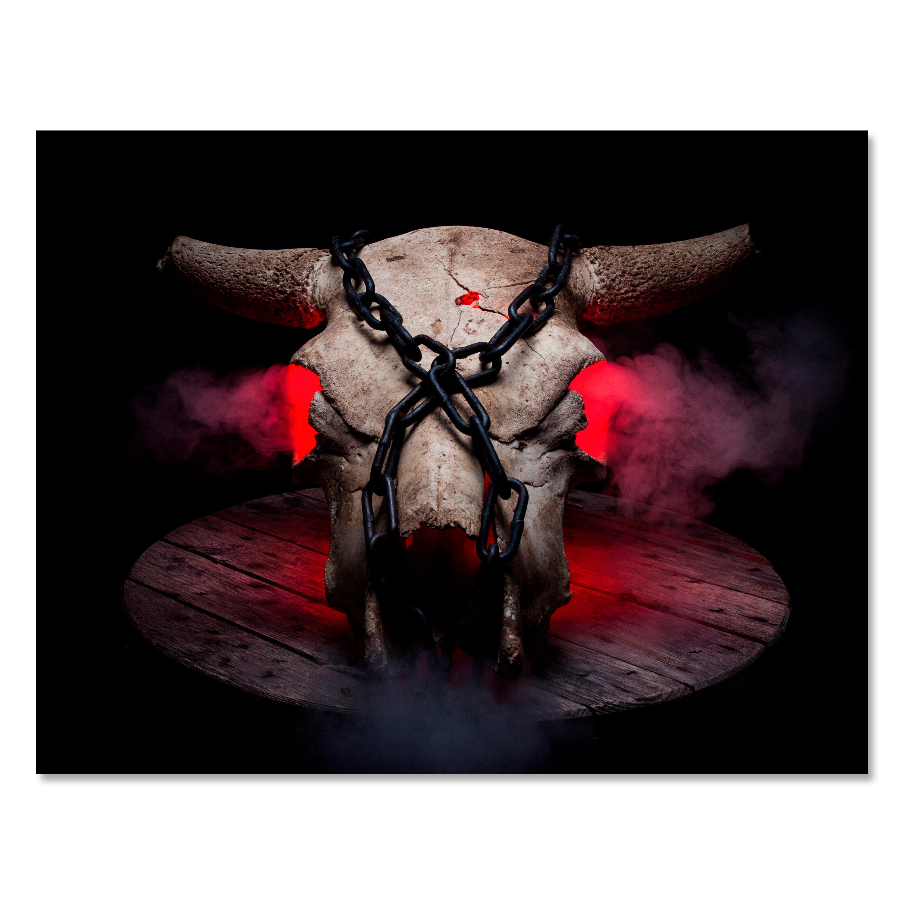 Leinwandbild Totenkopf, Schädel, Bulle, Querformat M0775 kaufen - Bild 1