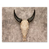 Canvas picture, vintage, bull, skull, landscape format M0776