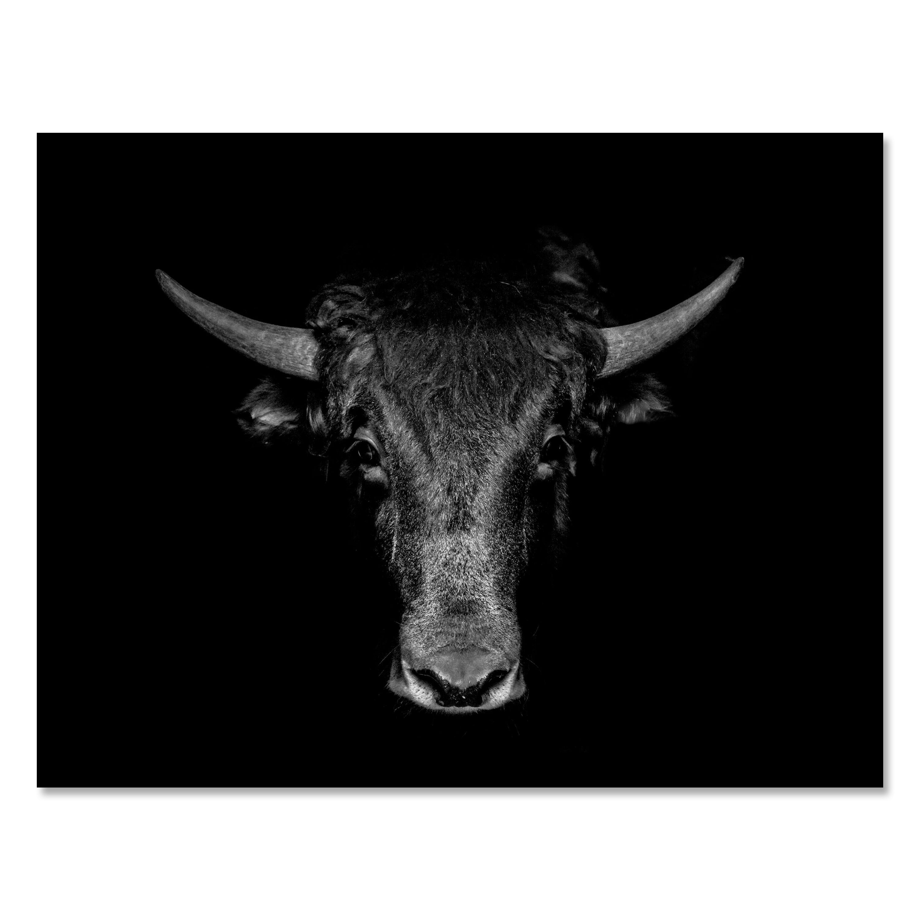 Leinwandbild Kuh, Schwarz Weiß, Querformat M0778 kaufen - Bild 1
