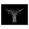 Canvas picture, animals, cow, black and white, landscape format M0778