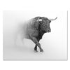 Canvas picture, animals, bull, black and white, landscape format M0779