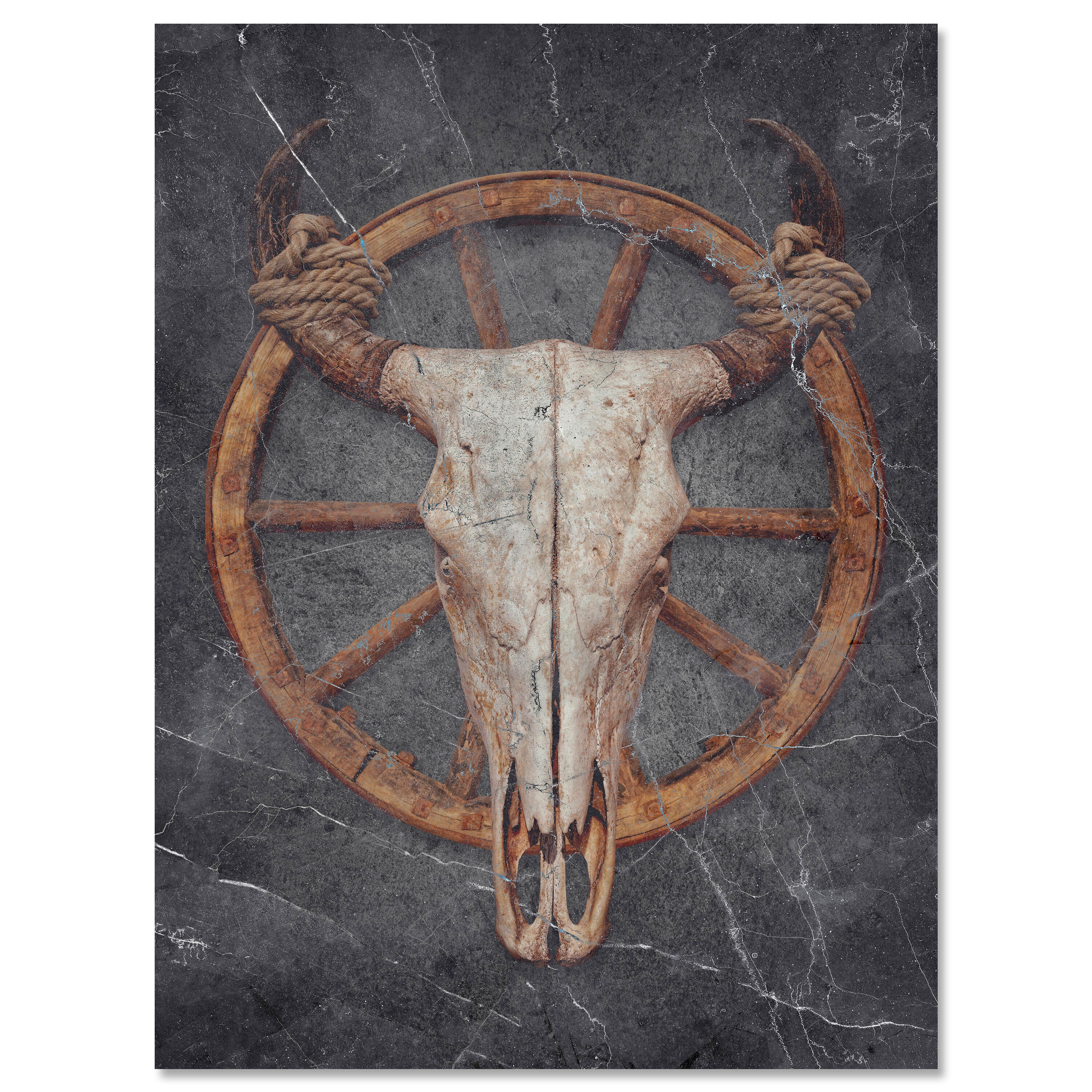 Leinwandbild Stier, Totenkopf, Hochformat M0787 kaufen - Bild 1