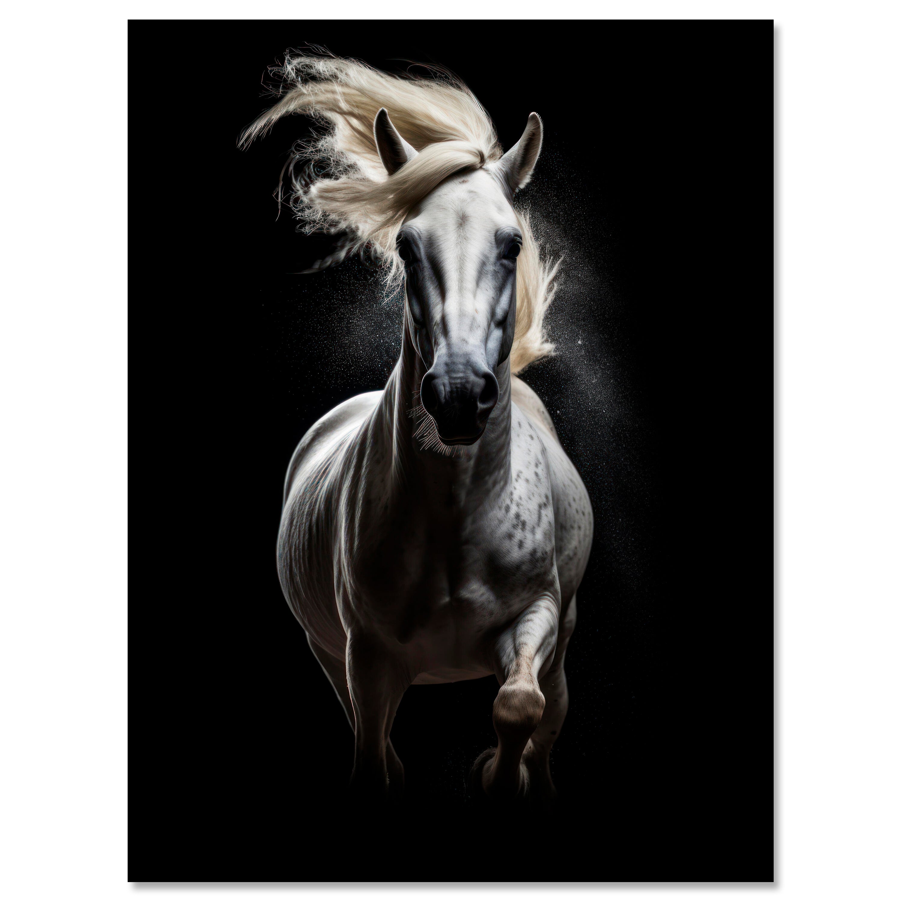 Leinwandbild Pferd, Schimmel, Hochformat M0794 kaufen - Bild 1