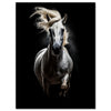 Canvas picture, animals, horse, mold, portrait format M0794