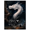 Canvas picture, fantasy, dragon, portrait format M0827