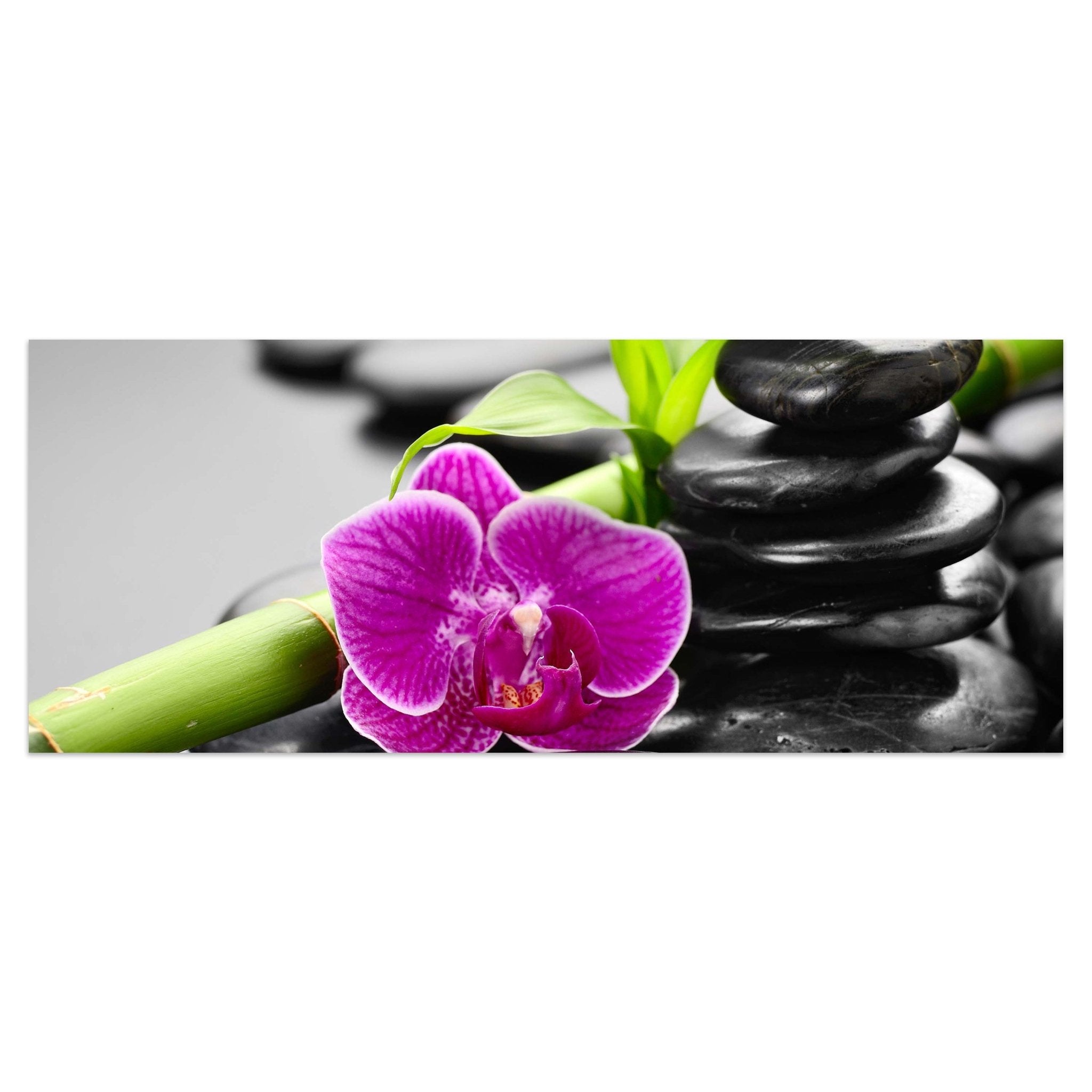 Leinwandbild Zen Basaltsteine und Orchidee M0954 kaufen - Bild 1