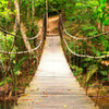 Türtapete Holz-brücke im Wald, Hängebrücke, Natur M1067