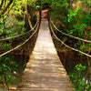 Papiers peints pont suspendu dans la jungle, rivière, eau M1068