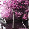 Küchenrückwand Wald rosa Blättern Boote See Ufer M1073