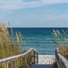 Türtapete Weg zum Meer, Sand-strand, Ozean, Gräser M1079