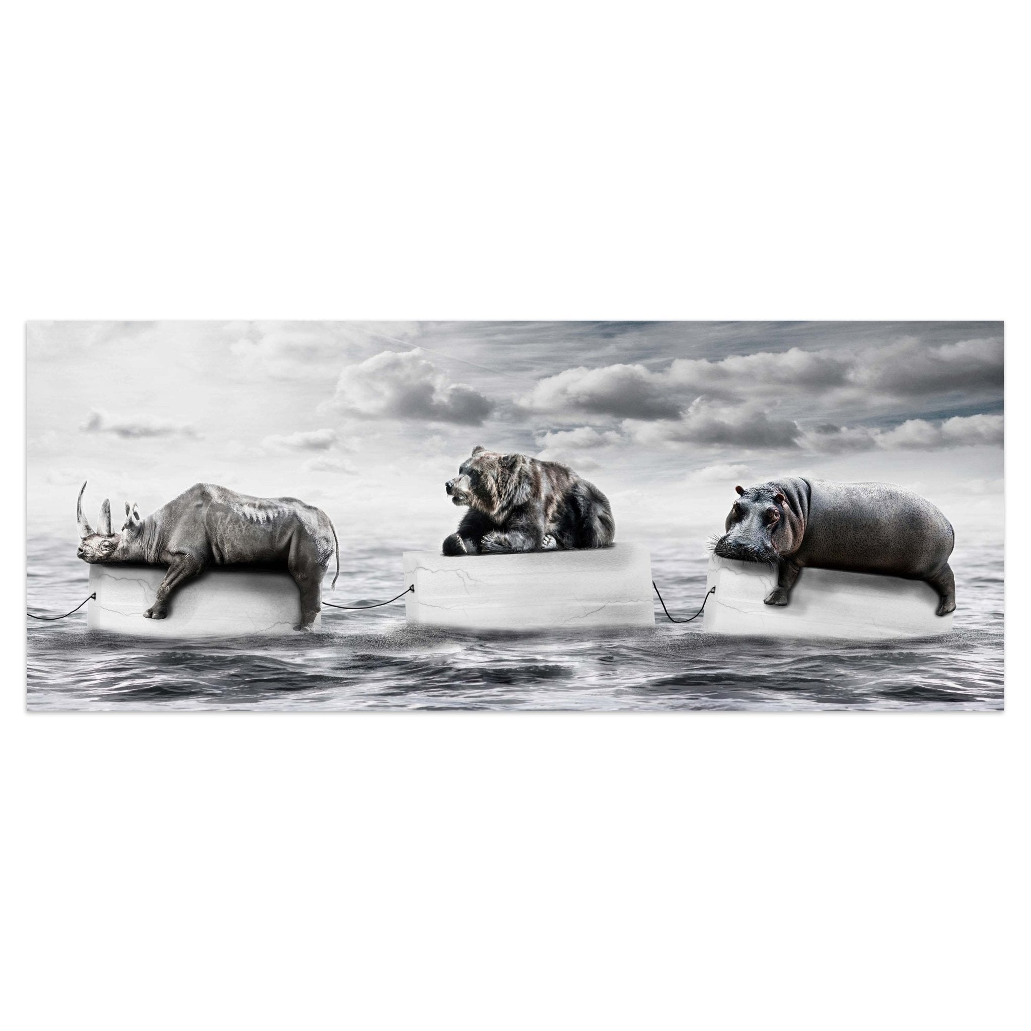 Leinwandbild Bär & Nilpferd auf Eis, Meer, Klima M1097 kaufen - Bild 1