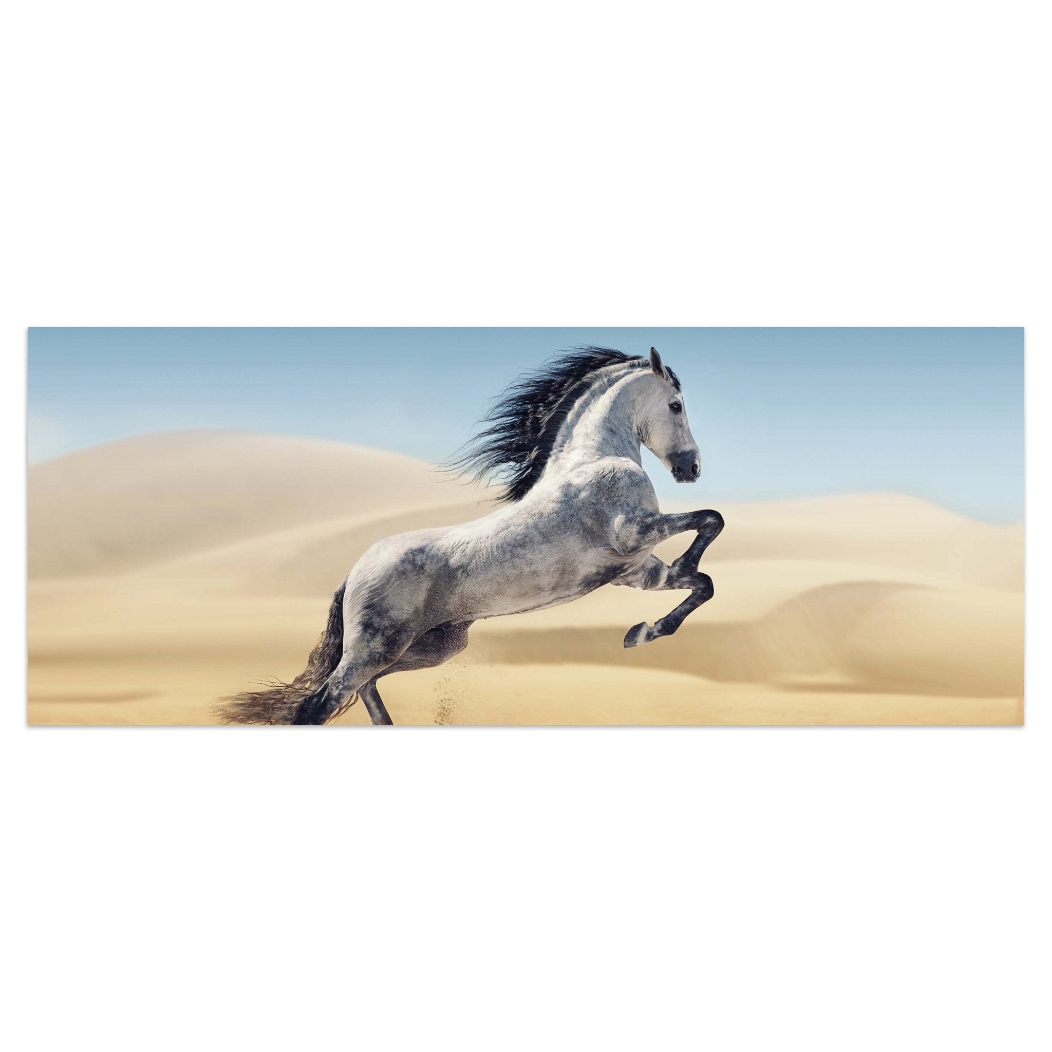 Leinwandbild Pferd, weiß, grau, Sand, Wüste M1110 kaufen - Bild 1
