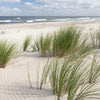 Türtapete Gräser am Sand-strand, Meer, Wasser M1110