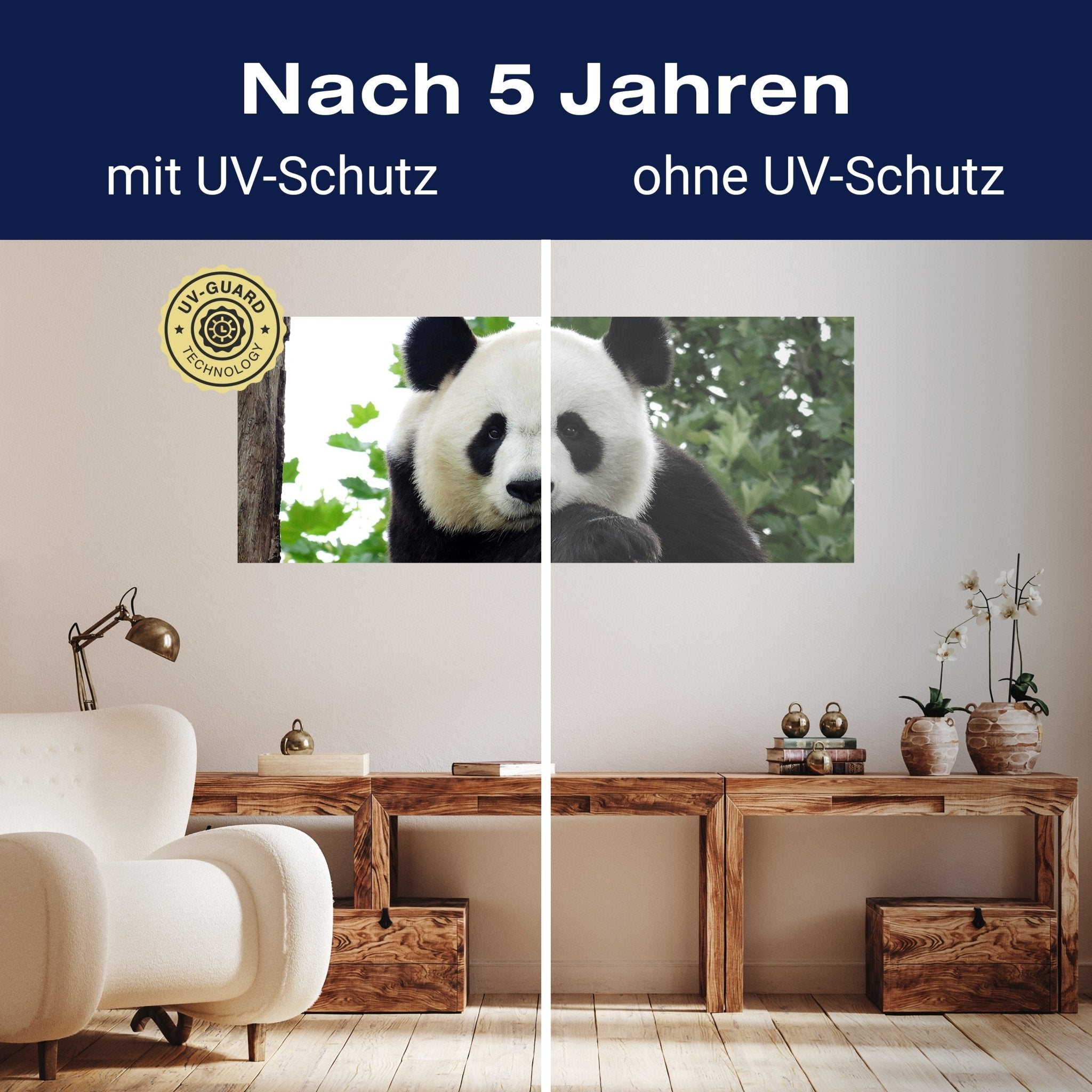 Leinwandbild Panda, Bär, Tier, schwarz, weiß M1111 kaufen - Bild 9