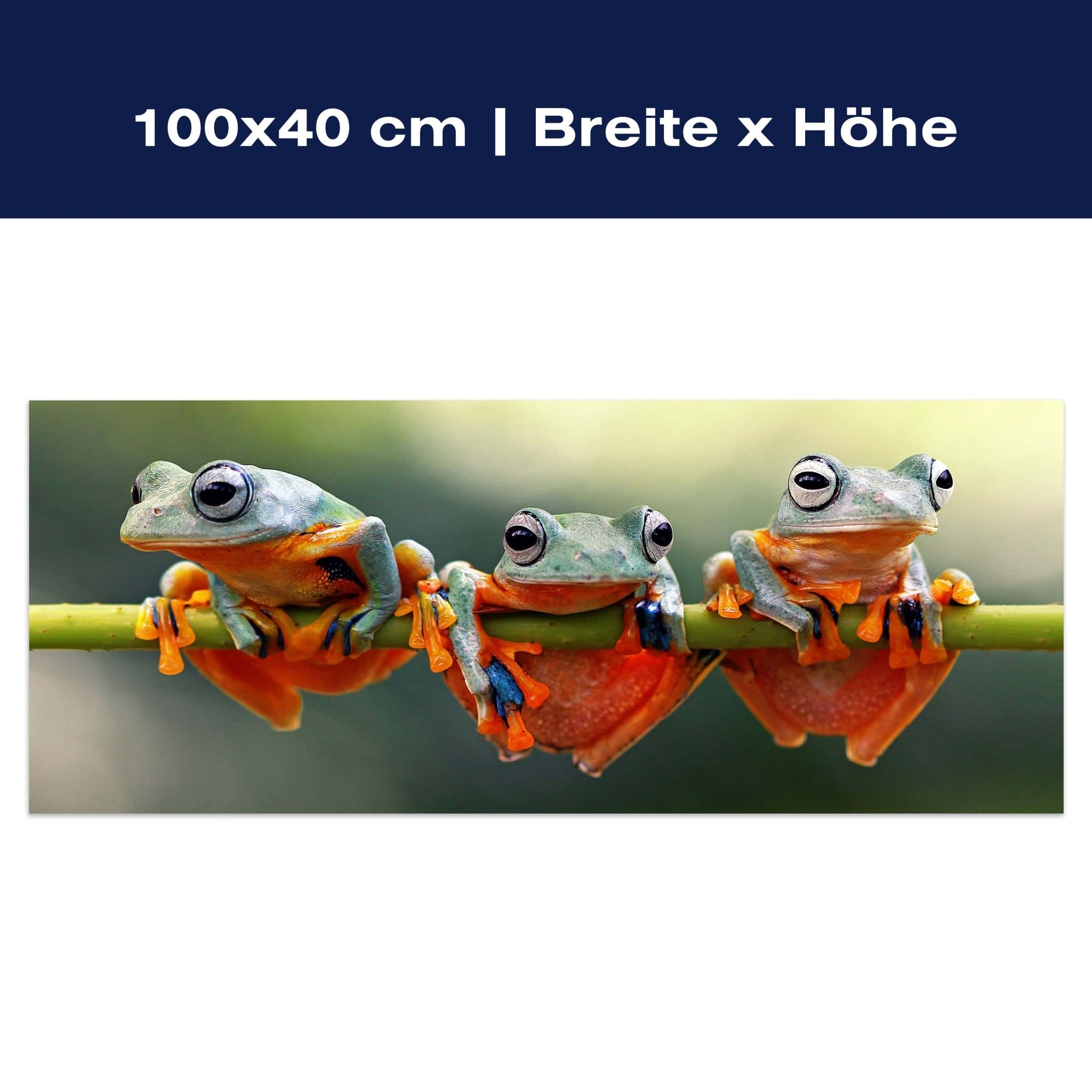 Leinwandbild Frosch, Frösche, Zweig, grün, orange M1113