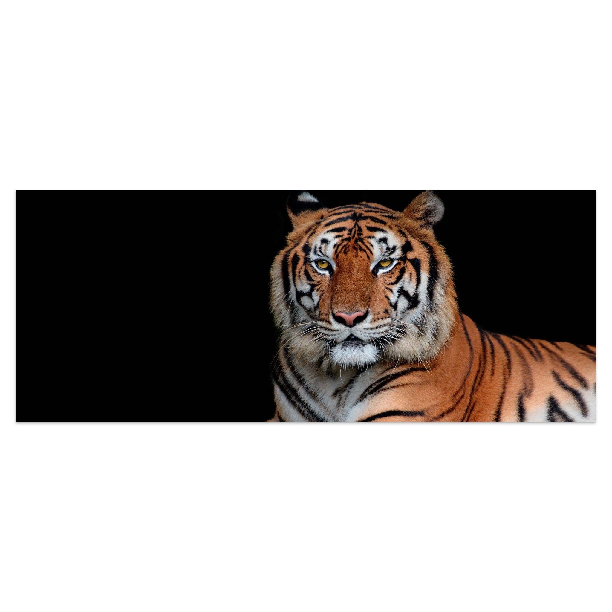Leinwandbild Tiger, Tier, schwarz, orange M1117 kaufen - Bild 1