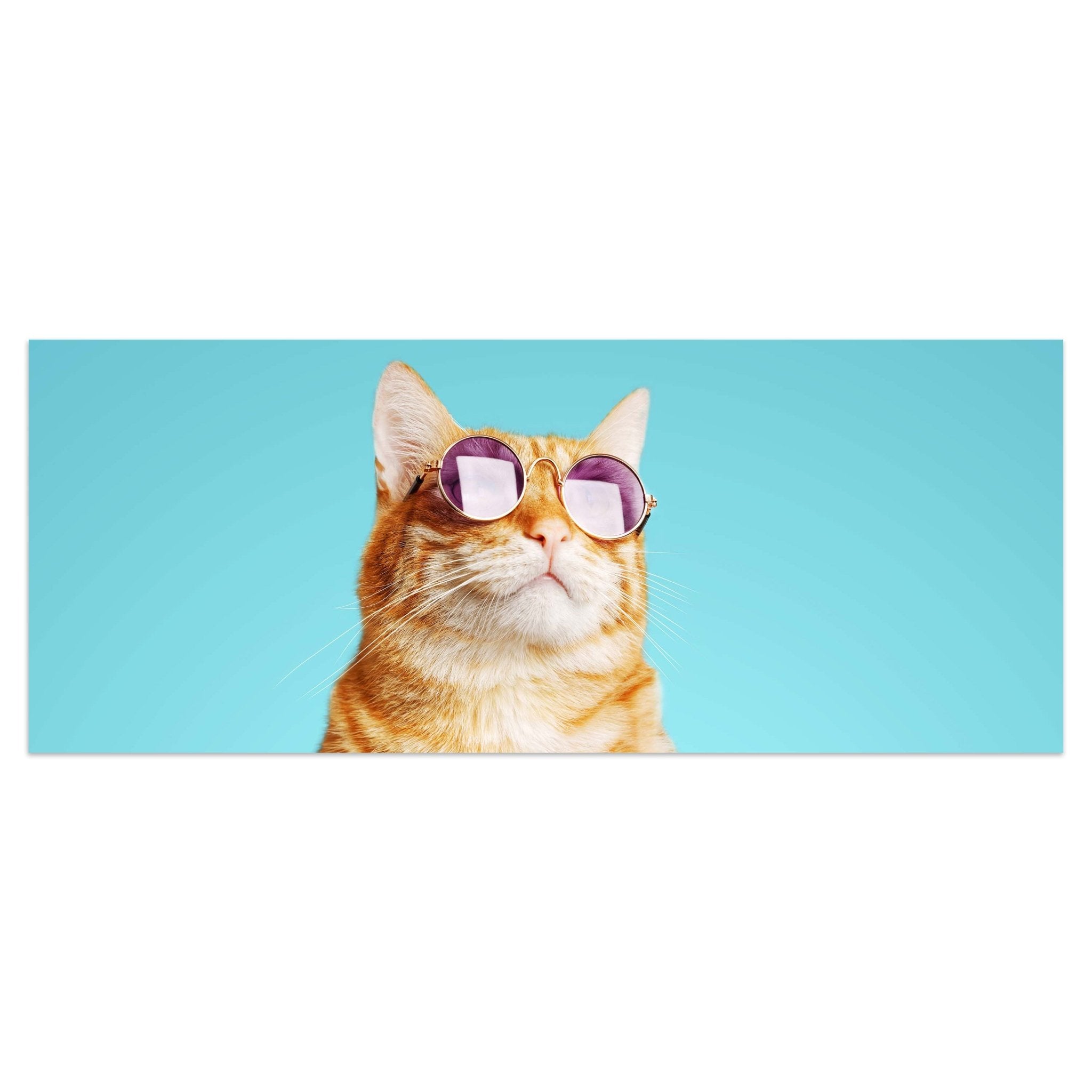 Leinwandbild gestreifte Katze, violette Sonnenbrille M1120 kaufen - Bild 1