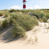 Door wallpaper lighthouse & dunes, sea grass, sea M1120