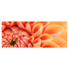 Tableau sur toile Fleur fleur orange chrysanthème M1124