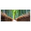 Leinwandbild Bambus Weg Wald Zaun M1126