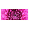 Leinwandbild Blume Blüte rosa Chrysantheme M1127