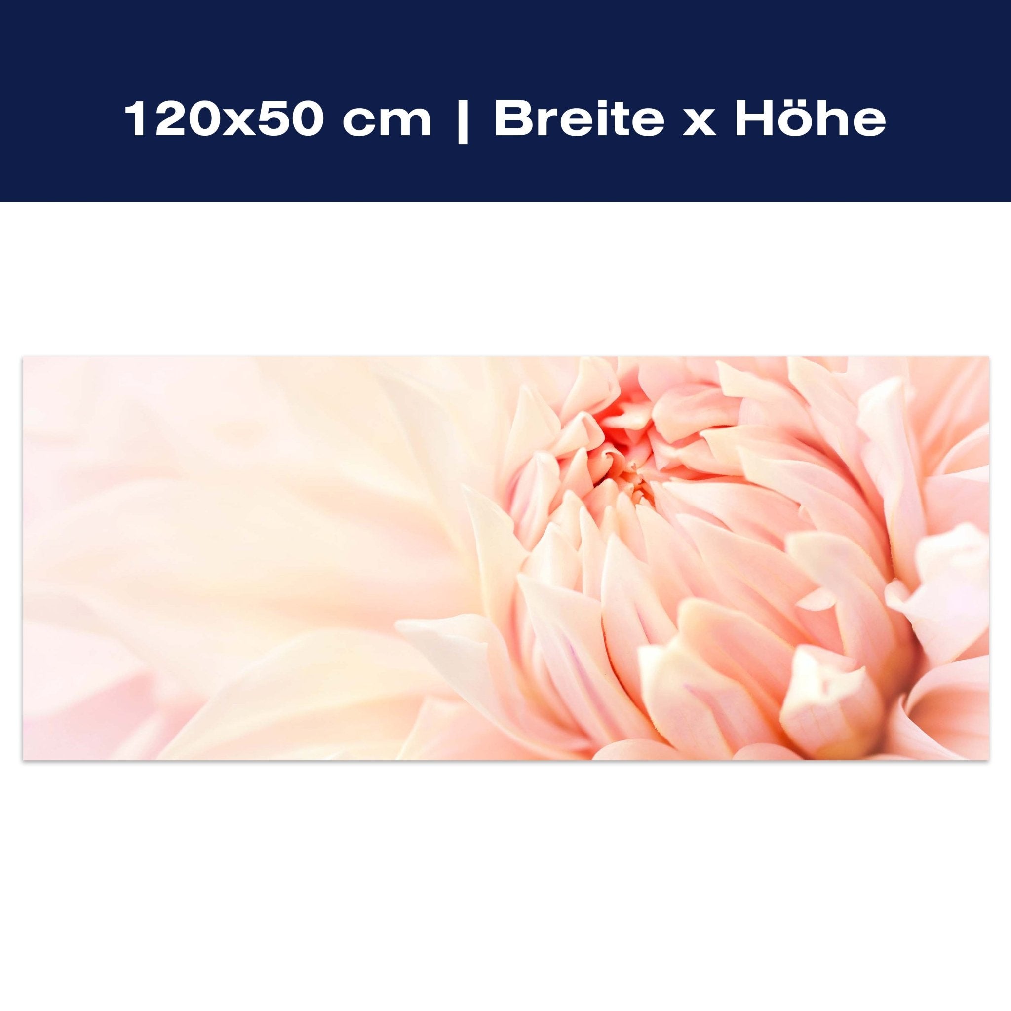 Tableau sur toile Fleur Blossom Dahlia rose M1130