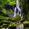Wall mural waterfall in the primeval forest, stones, rocks M1141