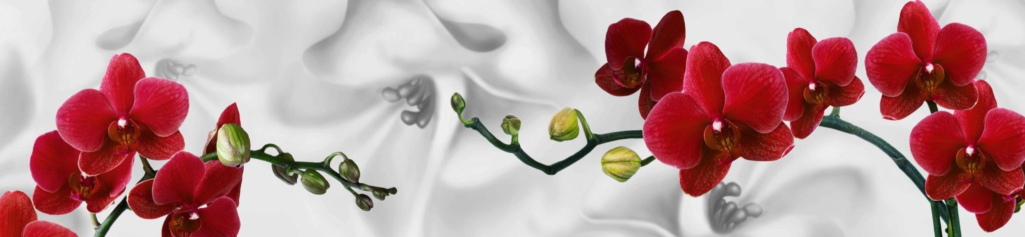 KÜCHENRÜCKWAND ORCHIDEEN ROT WEISS PFLANZE HINTERGRUND M1148 (Maßanfertigung