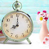 Kitchen splashback alarm clock flowers vases blossoms books M1246