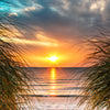 Türtapete Blick durch Düne, Meer, Sonnenuntergang M1293