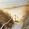Papiers peints chemin vers la plage, corde, mer, dunes, roseaux M1301