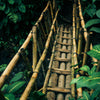 Porte papier peint pont en bambou, jungle, forêt vierge M1344