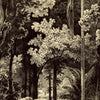 Türtapete Zeichnung Dschungel, Schwarz Weiß, Retro M1345