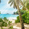 Wall mural palm tree on the beach, sea, sun, island M1349