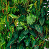 Papier Peint de Porte Mur de Feuilles Jungle Nature Vert M1352