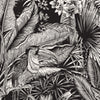 Türtapete Zeichnung Leben im Dschungel, Pflanzen M1362