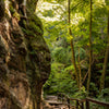 Türtapete Wanderweg im Wald, Felsen, Bäume, Natur M1393