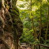 Papiers peints Sentier de randonnée dans la forêt, rochers, arbres, nature M1393