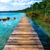 Door wallpaper bridge water forest stones wood M1411